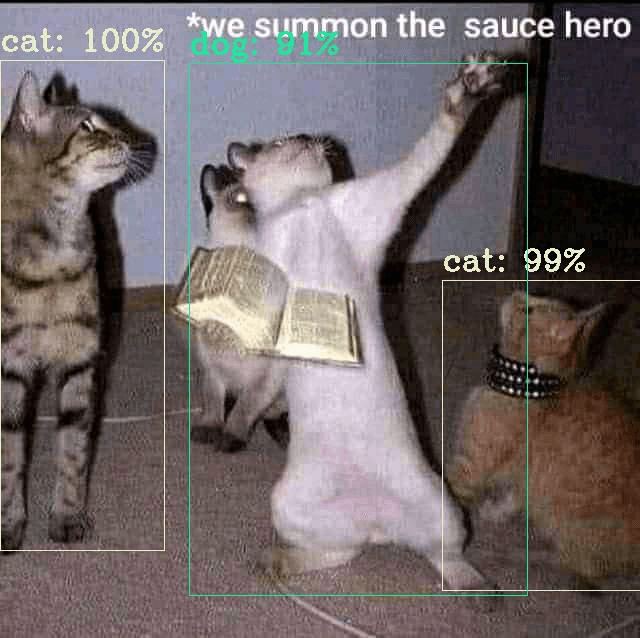 Two cats in a meme photo, both boxed as cat at 99 to 100 percent